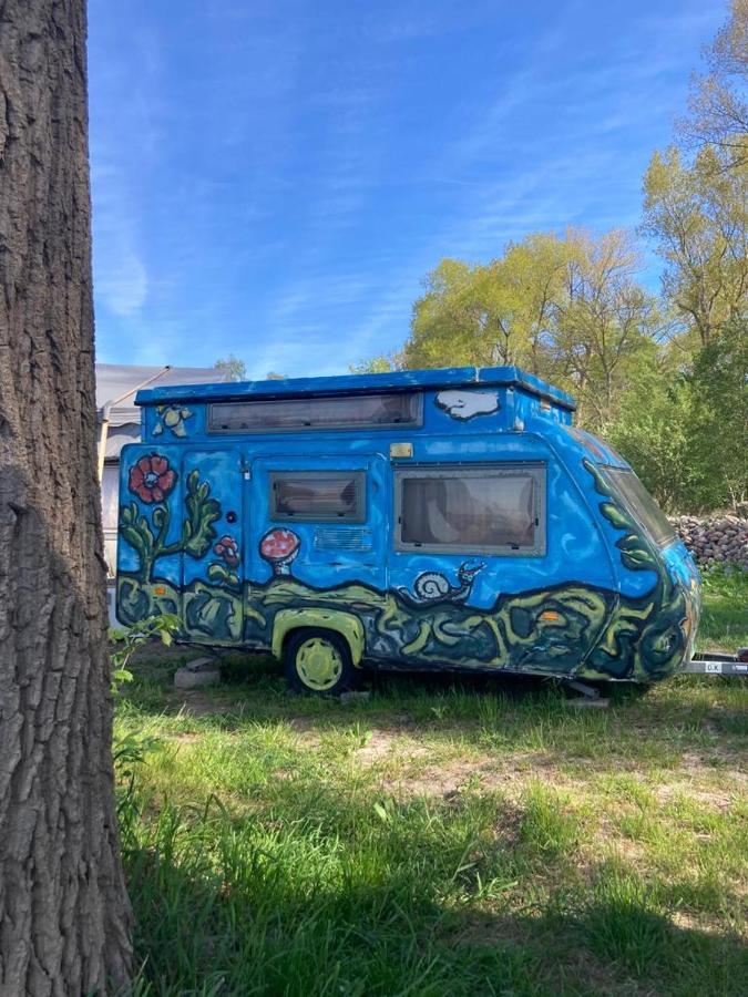 Camping Rogowo ムジェジノ 部屋 写真