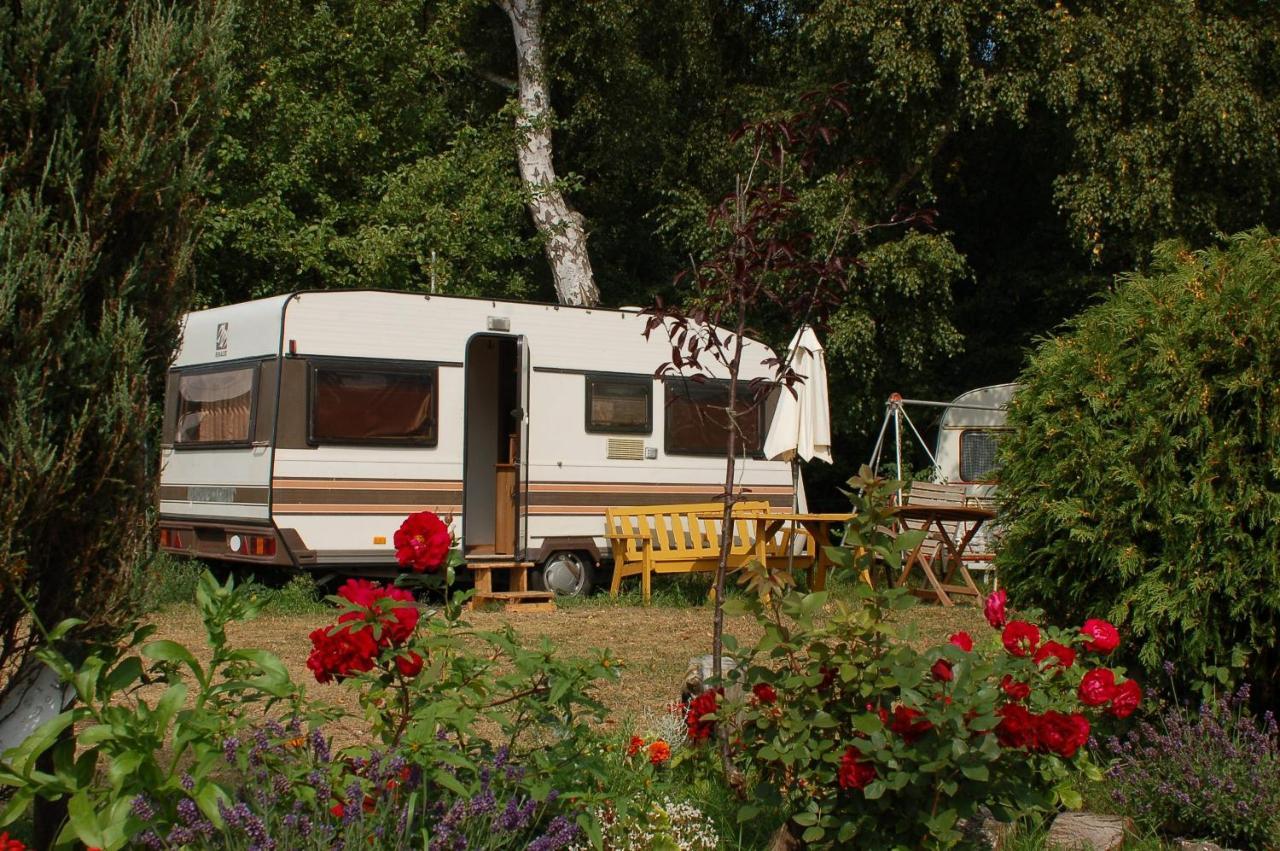 Camping Rogowo ムジェジノ エクステリア 写真