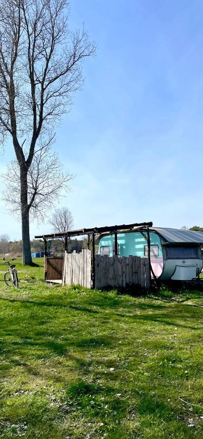 Camping Rogowo ムジェジノ エクステリア 写真