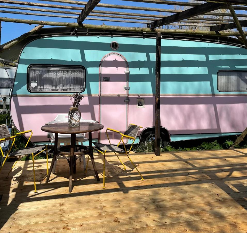 Camping Rogowo ムジェジノ エクステリア 写真