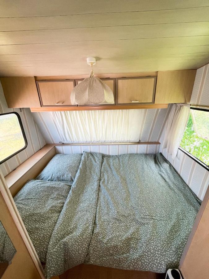 Camping Rogowo ムジェジノ エクステリア 写真
