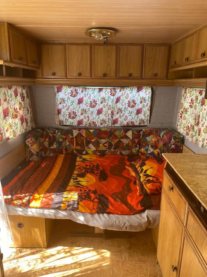 Camping Rogowo ムジェジノ エクステリア 写真