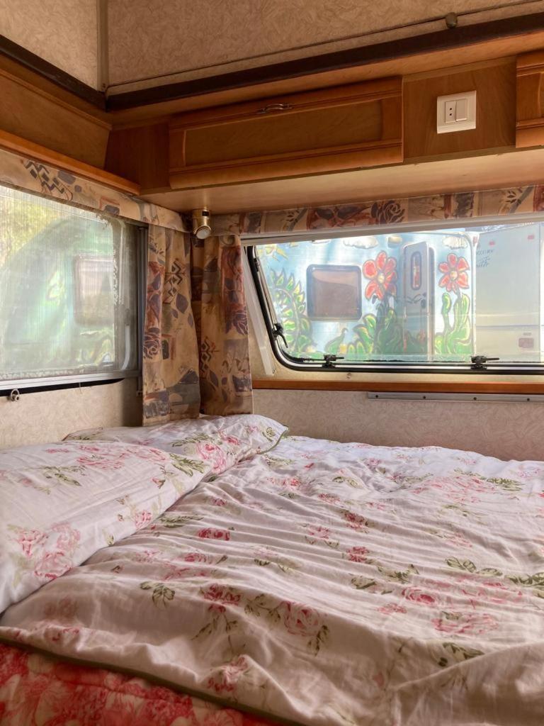 Camping Rogowo ムジェジノ 部屋 写真
